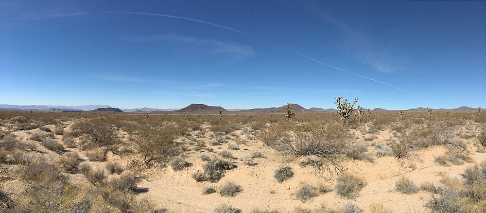 Mojave National Preserve